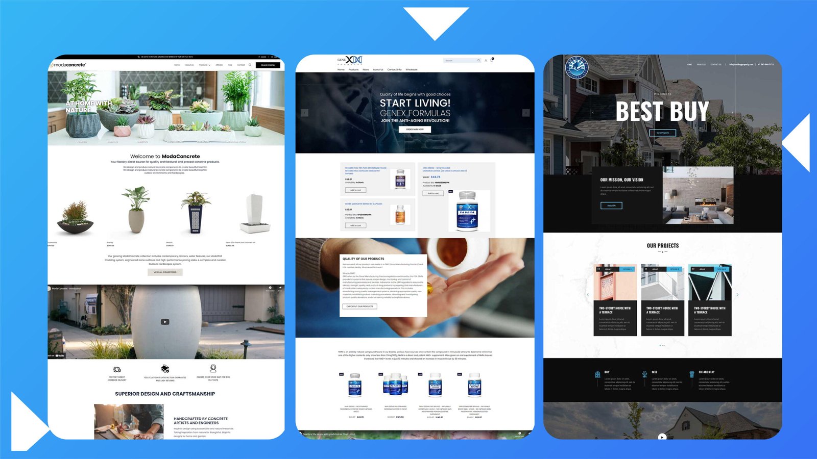 Website Design 02