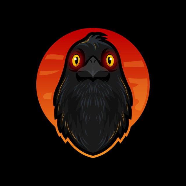 NXS Networks_JPEG-01